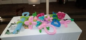 Balloon Twister