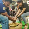 pottery activity in hyderabad pottery activity in hyderabad